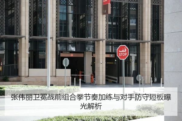 张伟丽卫冕战前组合拳节奏加练与对手防守短板曝光解析